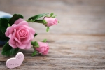 mothers day ideas for far away, mothers day gifts, 8 ways to send love to your mom on mother s day even when you are away from home, Microwave
