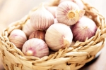 Chinese garlic latest, Chinese garlic latest, how to identify banned chinese garlic in the indian market, Gonda