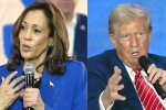 Kamala Harris Vs Donald Trump updates, Kamala Harris Vs Donald Trump election, more billionaires back kamala harris over donald trump, Wwe