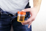Hidden Kidney Cancer Risks latest, Hidden Kidney Cancer Risks new tips, spotting blood in urine can reveal hidden kidney cancer risks, Weight loss