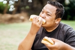 Bread for weightloss latest breaking, Bread, will bread help in weightloss, Lose weight