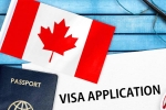 Canada's study visa approvals Indian students, Canada's study visa approvals shocker, canada s study visa approvals for indian students to drop by 50 in 2024, Federal government