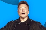 Elon Musk, Twitter, elon musk s new ultimatum to twitter staffers, Tesla