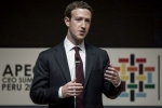firm, Facebook, facebook ceo refuses to quit amid pressure from investors, Mark zuckeberg firm, Facebook, facebook ceo refuses to quit amid pressure from investors, Mark zuckeberg