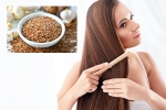 Flaxseeds latest breaking, Flaxseeds breaking updates, how flaxseeds can help for a long and healthy hair, Ntr