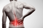 Natural Method To Heal Back Pain, Back Pain, natural method to heal back pain, Sudesh abrol
