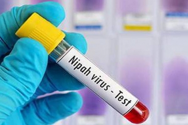 Kerala issues Nipah Virus Alert from April to September
