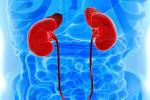 Kidney cancer, Kidney cancer, omg cancer can increase our lifespan, Genitourinary oncology