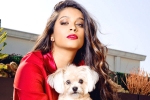 lilly singh comes out as bisexual, superwoman lilly singh, lilly singh talks about life after coming out as bisexual, Lgbtq