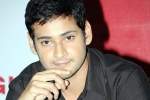 Mahesh Babu new movie, Mythri Movie Makers, mahesh reveals his next projects, Newyear