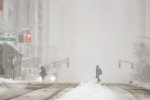 US Snowstorm in February, US Snowstorm 2026, massive snowstorm hits us over 5600 flights cancelled, Pti