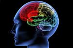 Alzheimer disease, mental activity, brain use it or lose it, Npt