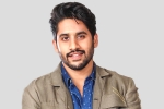 Naga Chaitanya next film, Naga Chaitanya news, interesting title for naga chaitanya s next, Majili