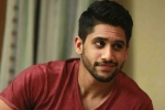 Naga Chaitanya upcoming film, Naga Chaitanya web project, naga chaitanya in talks for a web film, Web film Naga Chaitanya upcoming film, Naga Chaitanya web project, naga chaitanya in talks for a web film, Web film
