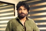 Nagarjuna Personal Rights breaking, Nagarjuna Personal Rights new updates, delhi high on nagarjuna s personal rights, Nagarjuna