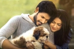 Ninu Veedani Needanu Nene review, Ninu Veedani Needanu Nene movie rating, ninu veedani needanu nene movie review rating story cast and crew, Ninu veedani needanu nene rating