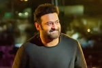 Prabhas, Prabhas latest, prabhas back to the sets of salaar, Indian actors