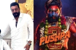 Pushpa: The Rule release news, Mythri Movie Makers, sanjay dutt s surprise in pushpa the rule, Rashmika mandanna