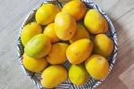 Soak Mangoes updates, Soak Mangoes breaking, soak mangoes for 30 minutes before eating, Technology