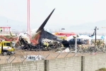 South Korea Plane Crash cause, South Korea Plane Crash, pilot made mayday call and mentioned bird strike in south korea plane crash, Accident