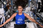 Sunita Williams bone weakness, Sunita Williams updates, indian origin astronaut sunita williams battling radiation and bone weakness, Starliner