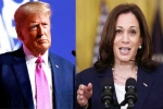 US Presidential Polls news, Kamala Harris, ai predictions on us presidential polls, Eagle