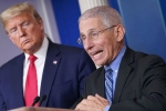 Anthony Fauci, restrictions, us could start reopening in may anthony fauci, Andrew cuomo