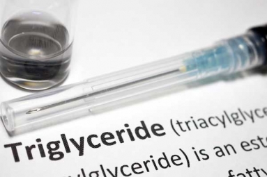 What Are Triglycerides?