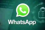 iOS Testing Multi-Account Support for WhatsApp breaking news, iOS Testing Multi-Account Support for WhatsApp breaking, whatsapp for ios testing multi account support, Whatsapp