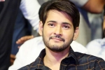 mahesh babu movies, mahesh babu movies, actor mahesh babu s bank accounts frozen by gst dept over tax dues, Jayapradha