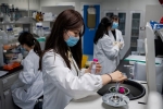 RpYNo6 China, RpYNo6 China from bats, chinese scientists discover new virus similar to coronavirus, New virus