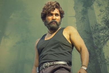 Allu Arjun's Pushpa Complete Pre-release Business