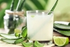 Can Aloe Vera Juice help in Blood Sugar Control? Can Aloe Vera Juice help in Blood Sugar Control?