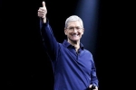 cook, programming job, apple ceo tim cook believes a four year degree not needed to get a programming job, Apple store