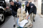 Kumar, India, 10 000 major artworks stolen from indian temples every decade expert, International destinations
