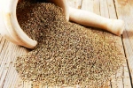 Chewing Ajwain bad, Chewing Ajwain health benefits in night, can chewing ajwain after dinner relieve acidity, War 2