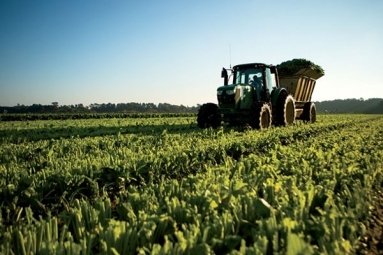 North Carolina Farmers Caught in Crossfire of Escalating Trade War