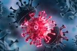 USA Coronavirus new cases, USA Coronavirus rise, delta variant makes usa tensed again, Pfizer