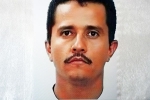 El Mencho breaking, El Mencho latest updates, mexican drug lord el mencho was killed through his girlfriend, Trip