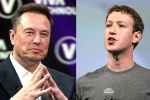 Elon Musk and Mark Zuckerberg latest, Mark Zuckerberg, elon vs zuckerberg mma fight ahead, Mark zuckerberg