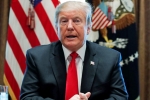 disadvantages of state of emergency, national emergencies act pdf, getting closer to declare national emergency donald trump, Government shutdown