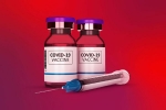 coronavirus India news, coronavirus deaths, coronavirus vaccine how many weeks do you need to wait after recovery, Coronavirus deaths