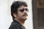 Nagarjuna latest, Dharma Productions, nag signs a bollywood flick, Devadasu