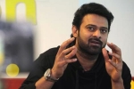 Prabhas upcoming projects, Prabhas next film, two young beauties in talks for prabhas next, Pelli sandad