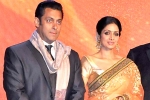 Sridevi latest updates, Sridevi latest updates, sridevi to work with salman khan, English vinglish