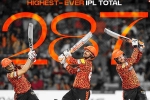Sunrisers Hyderabad in IPL 2024, Sunrisers Hyderabad in IPL 2024, sunrisers hyderabad scripts history in ipl, Cricket