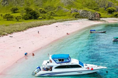 Which Pink Beach Should you Visit in Indonesia? Which Pink Beach Should you Visit in Indonesia?