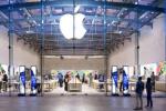 iOS developer, iOS developer, apple launches ios app design development accelerator in bengaluru, Ios developer iOS developer, iOS developer, apple launches ios app design development accelerator in bengaluru, Ios developer