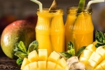 kesar mango, kesar mango, longing for indian mangoes here are the best places to buy indian mangoes in america, Mango growers