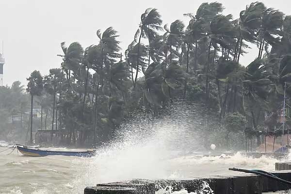 Cyclone Ditwah Impacts Tamil Nadu Cyclone Ditwah Impacts Tamil Nadu